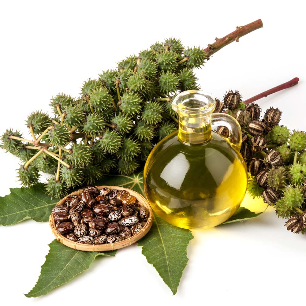 CASTOR OIL Pure & Natural Hair, Skin & Body Nourishment