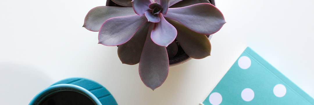 Mothers Day Gift Guide